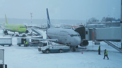 Старый Boeing 737-500 а/к Нордавиа, рейс Москва - Архангельск