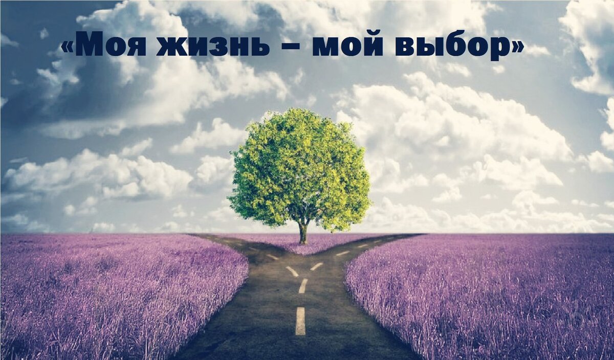 Картинки за жизнь