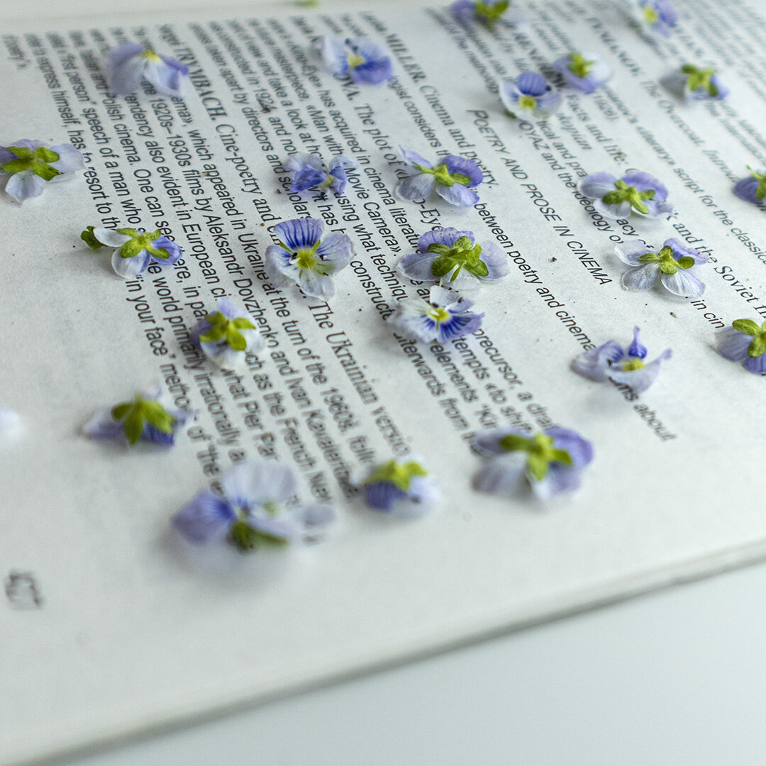 Фото Михаила Анатольевича Минина