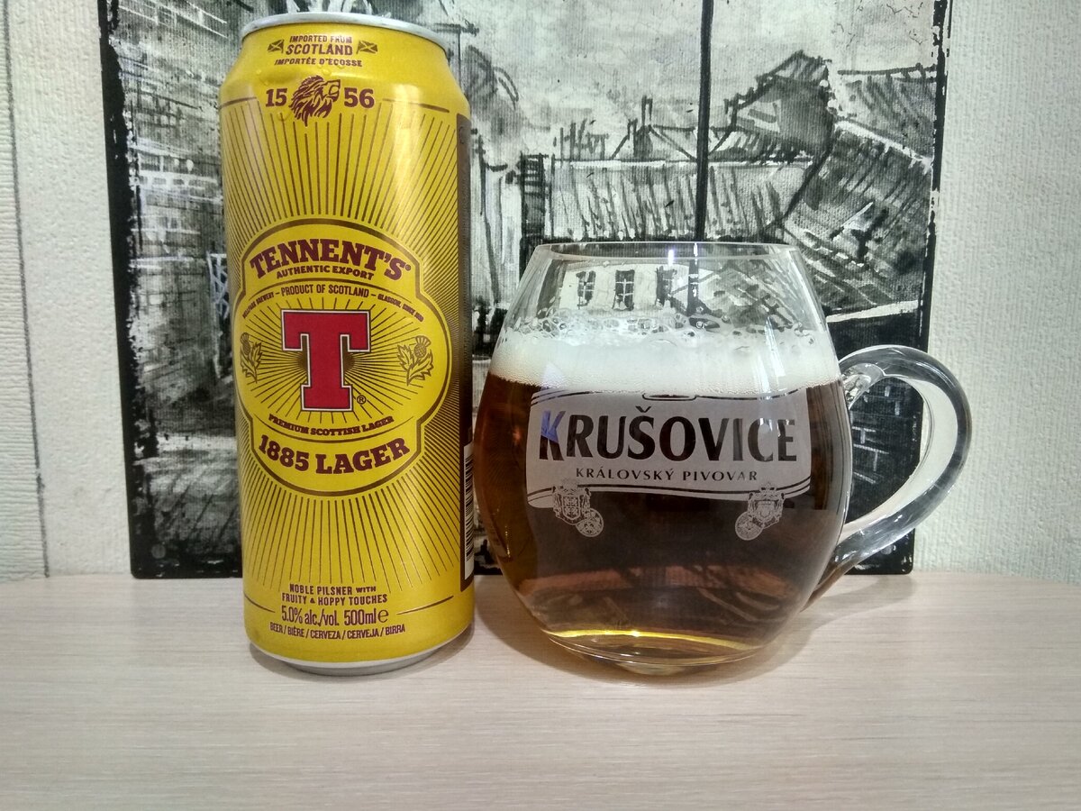 Tennent's 1885 Lager в кружке Krušovice