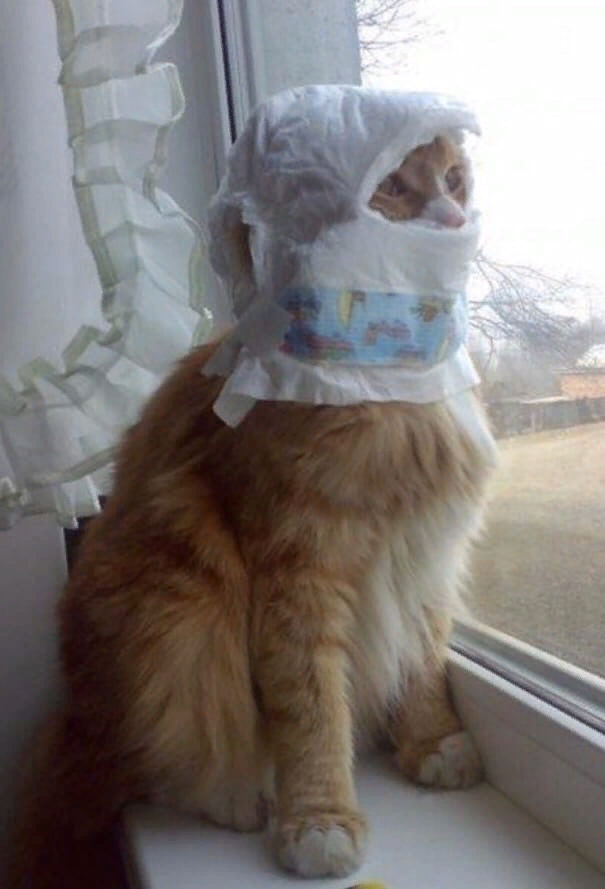 Кот-космонавт