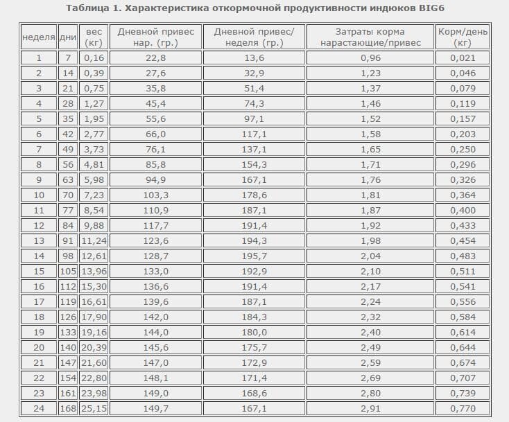 Индюки биг 6 таблица веса. Нормы кормления индюков Биг 6. Вес индюков Биг 6 по месяцам таблица. Нормы кормления индюков Биг 6 комбикормом таблица. Таблица комбикорма для индюков Биг 6.