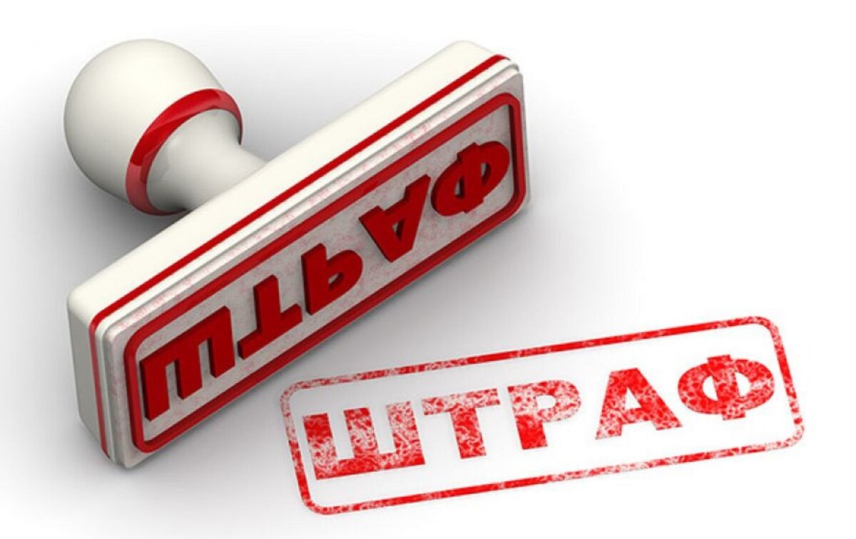 Фото из поисковой системы