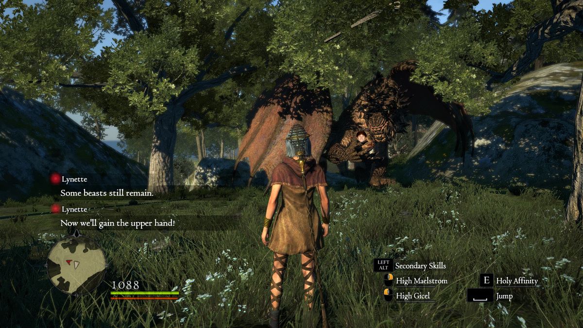 Dragon's Dogma разносчик цветов. Драгон Догма посохи.