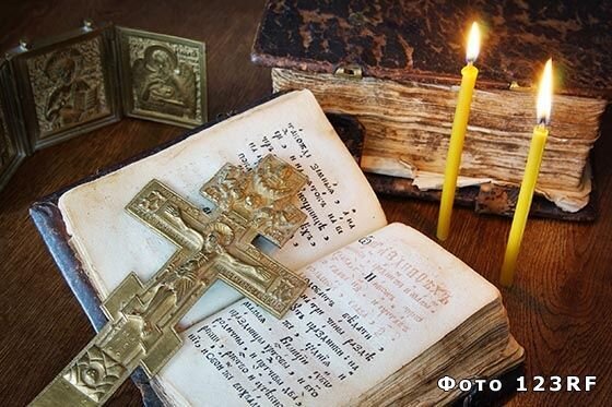 фото из открытого источника яндекс картинки