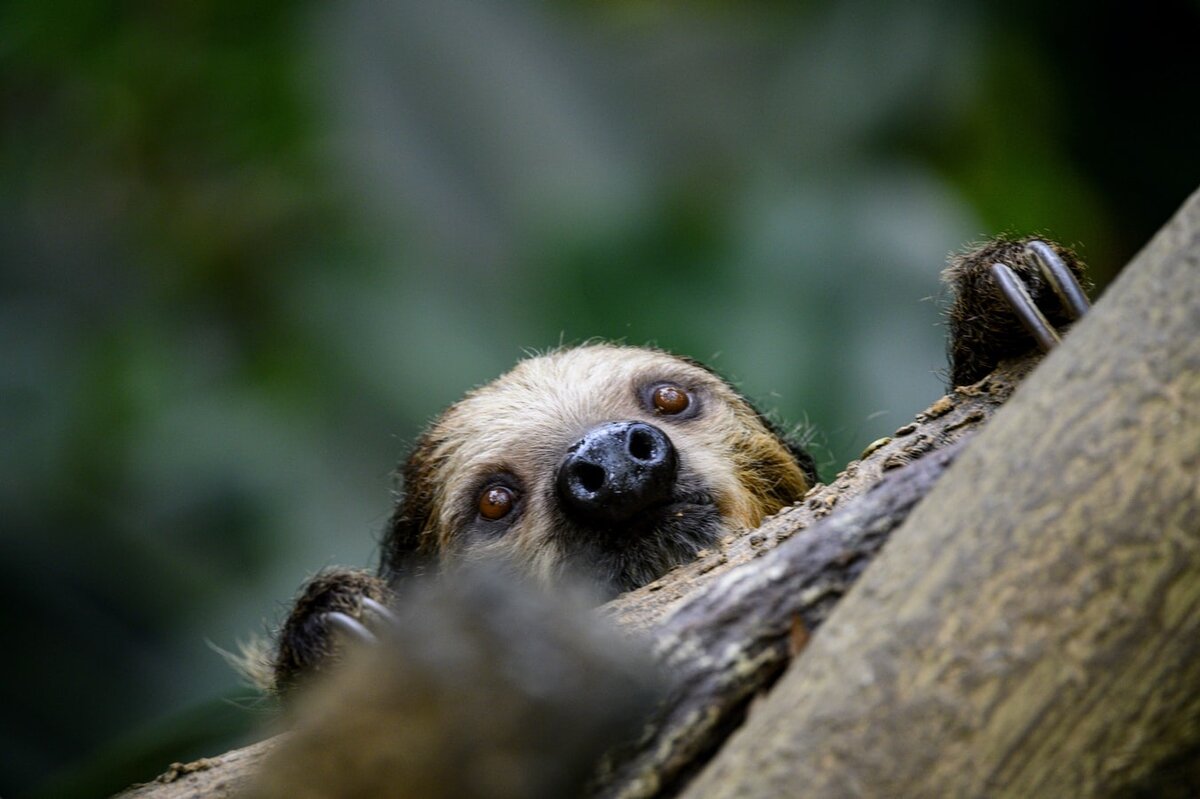 Фото: https://unsplash.com.