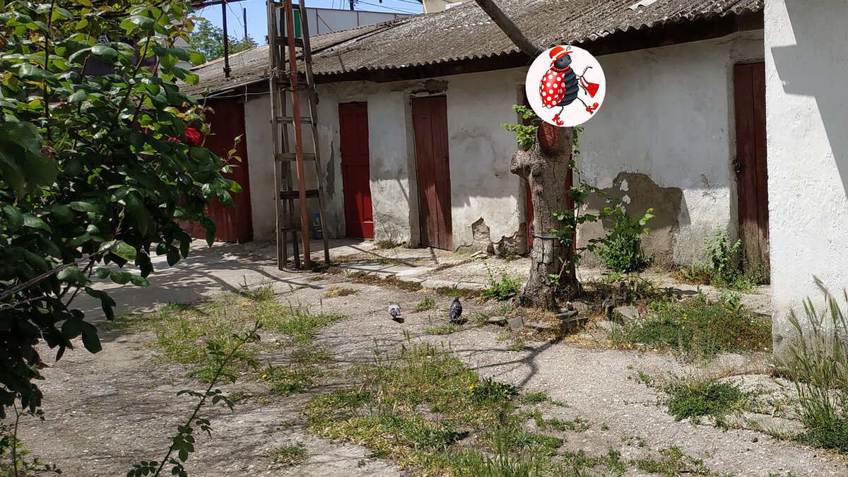                                     Буду очень благодарна за лайки, комментарии и подписку!! 