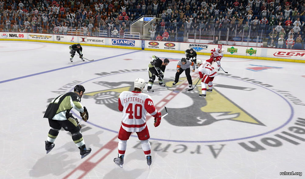 NHL 09: Widescreen Fix