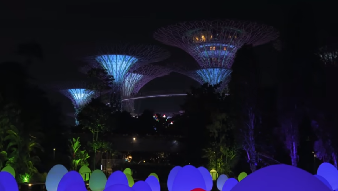 Деревья в Сингапуре