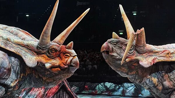 
© Фото : Ildar Bakeev Entertainment