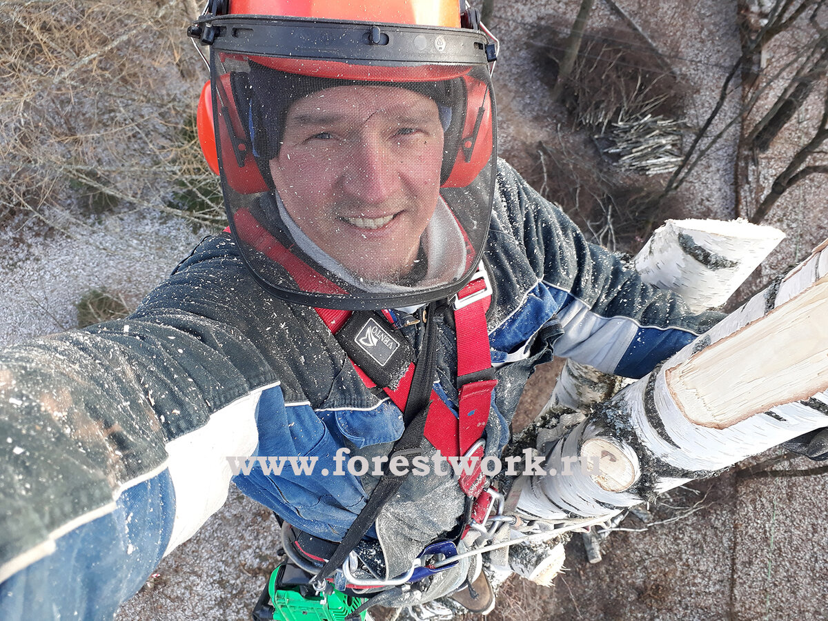 Удаление деревьев в условии плотной застройки арбористом- высотником.