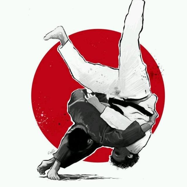 Judo beautiful ippons