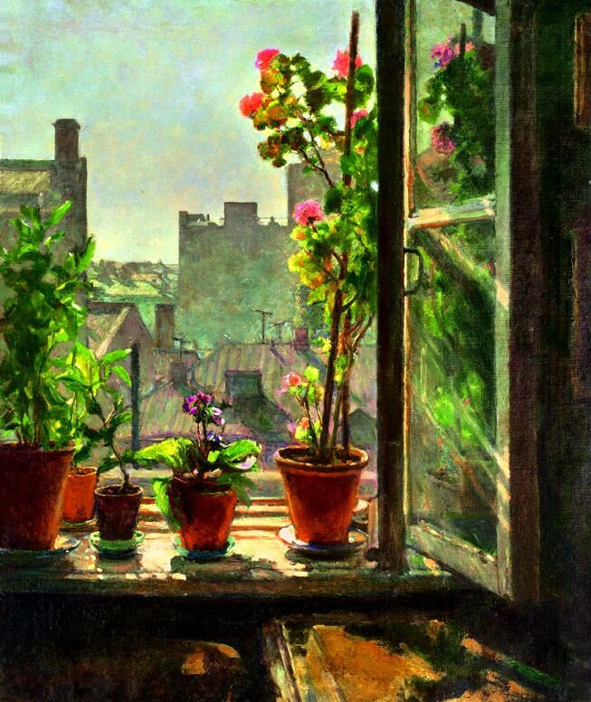 Фото взято из открытых источников