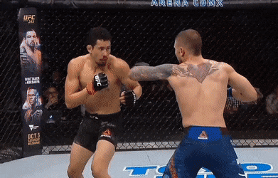 Стивен Питерсон vs Мартин Браво. Нокаут бэкфистом