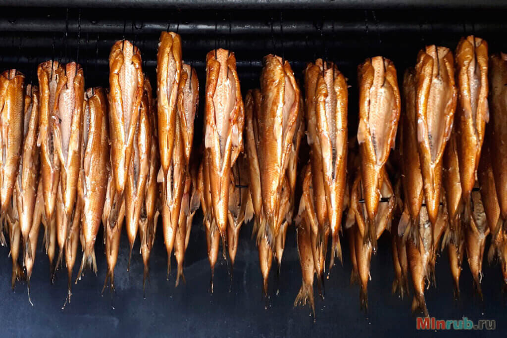 температурные режимы копчения. коптилка для рыбы холодного копчения. способы копчения. копчение судака. копчение рыбы на производстве.