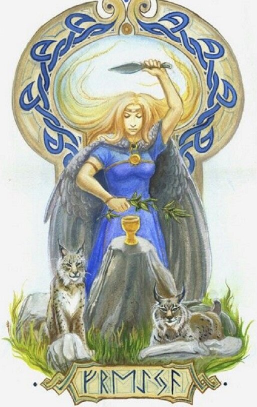 Фото из интернета