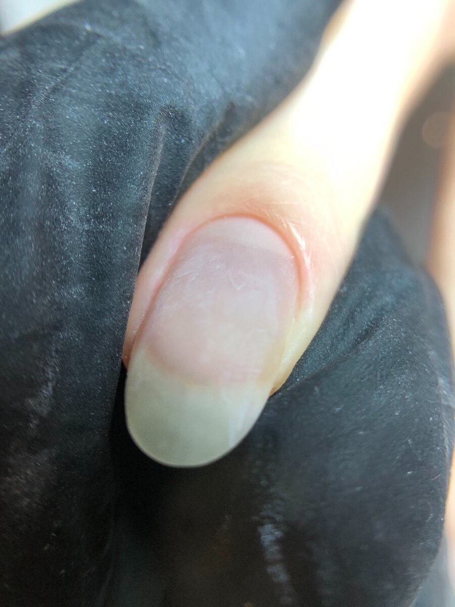 Срез после шлифовки