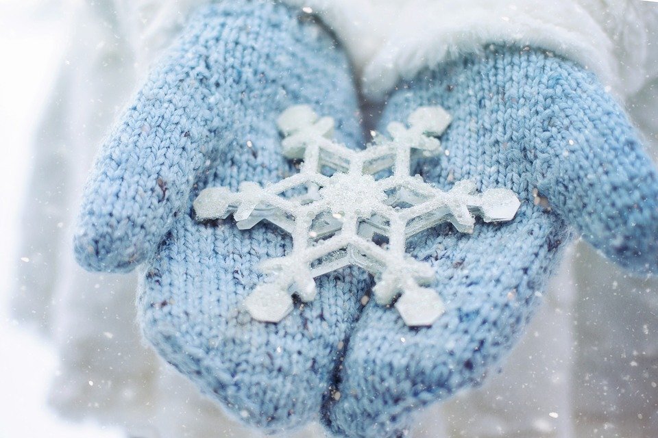 pixabay.com/