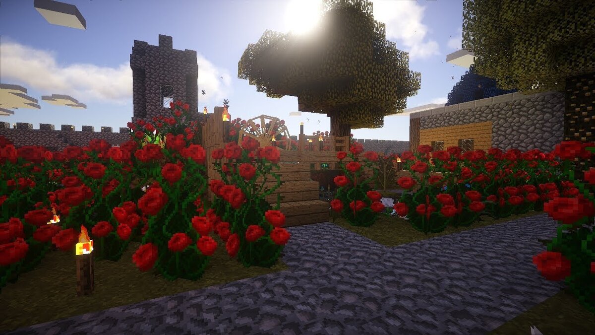 Просто красивые розы)