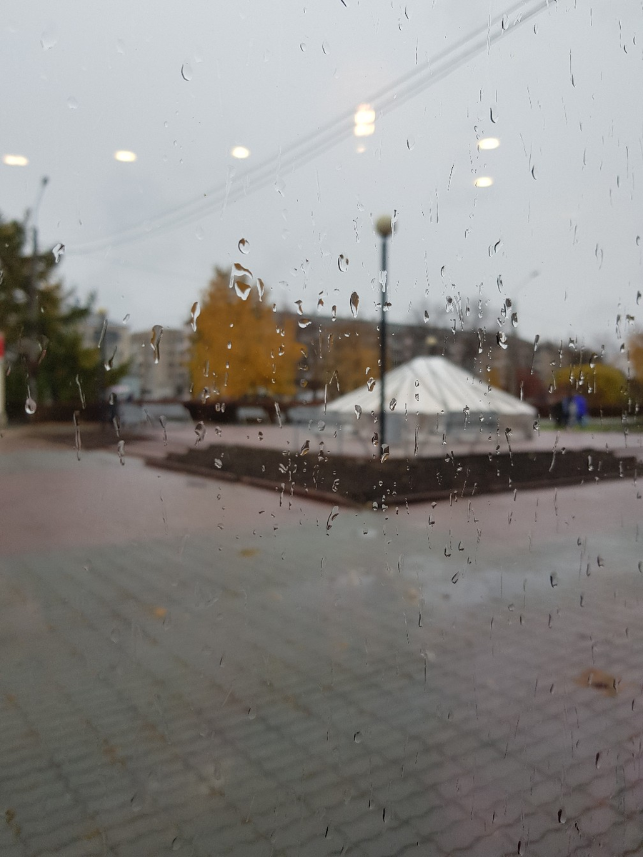 Город в осеннюю дождливую погоду немного промокший, немного замёрзший, немного замерший. 
Машины медленно ползут в пробках, ещё больше подчёркивая замедленность времени осенью.

Люди как-то сонно спешат под дождём, прячась под зонтами, втягивая головы в воротники курток, плащей, пальто.

Осень... дождь.. кофейня с тёплым названием "Плед"... Мир полный осенней неспешности, замедленности, поэтичности, романтичности, философии.

Кружка вкусного кофе, уютное место на подоконнике, мягкие подушки, негромкая приятная музыка, капли дождя, медленно стекающие по стеклу, книги.

Взгляд неторопливо скользит по пространству кофейни. Мыслей нет. Есть только наблюдение, созерцание, запечатлевающее лица людей, их движения, голоса, мимику. Взгляд движется дальше и... за окном на парапете фраза: "Ты мне нравишься!" И на лице улыбка, и внутри рождается: "И ты мне нравишься, мир!".

