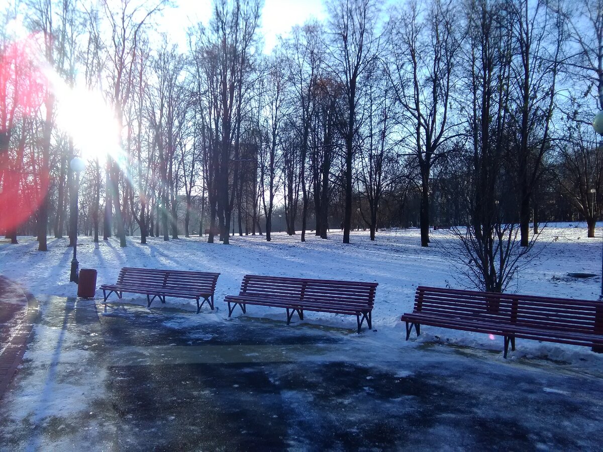 Декабрь в парке рядом с домом.