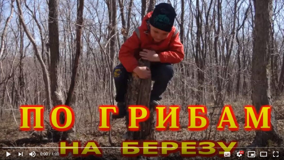 Как залезть на дерево по грибам