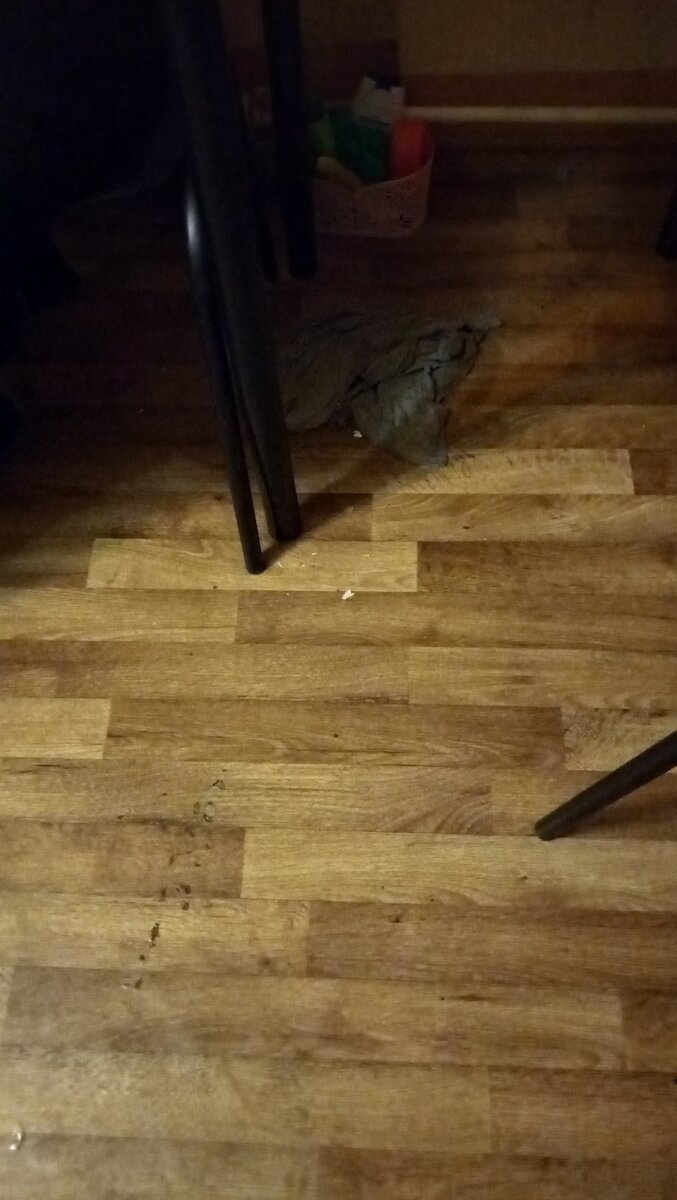 Эту картинку нужно пояснить - тряпка с какими-то обьедками лежит, свернувшись, под столиком. В комнате!!!! 