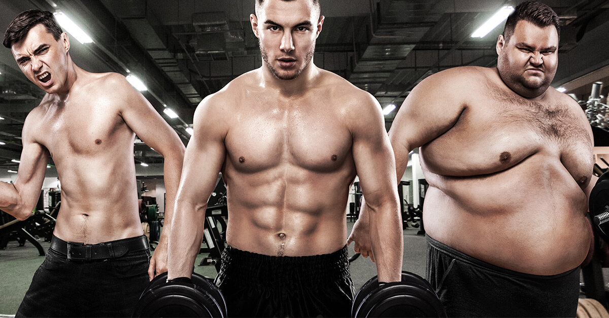 Типы телосложений