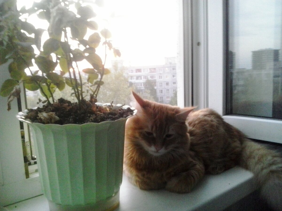 Медитируем после сытного обеда))