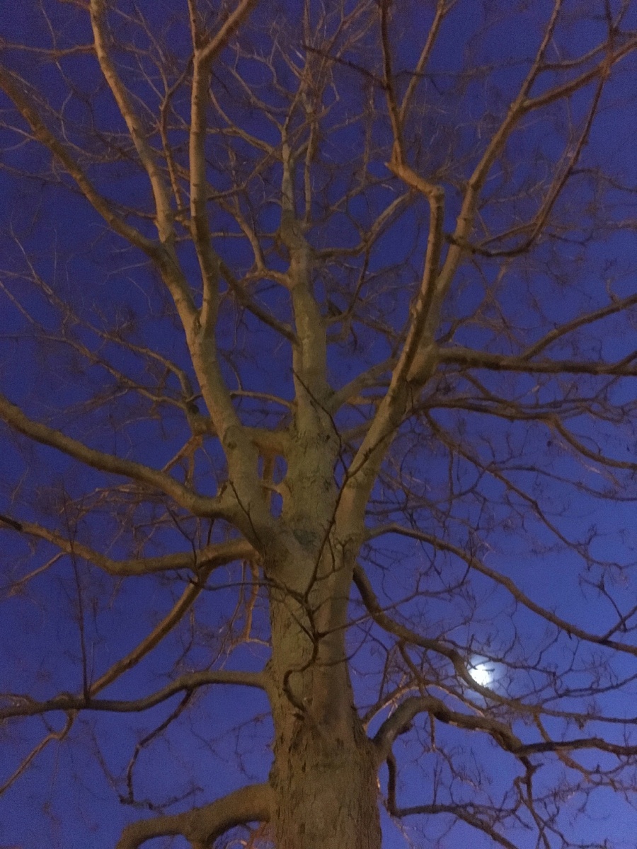 Перемены к лучшему случаются у всех, Перемены к худшему бывают иногда,
Мы стремимся к идеалу, каждый своему,
Мы бежим по покрывалу - как по льду,
Разгоняясь на ветру - волосы волной,
Мы не видим мелочи - ни одной...
А они прекрасны, как стоп - кадр,
Фильм такой прекрасный, не пиар...
Ограничим скорость, иногда.
Тормоз это пауза - не навсегда. 
Вдруг явИтся главное, родное без прекрас,
То, что не ухватится не помолясь. 

Авг 2020
Яговитина Т.В. 