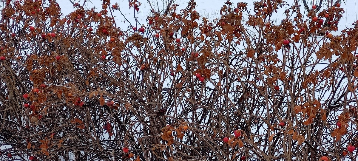 (Личное фото автора)