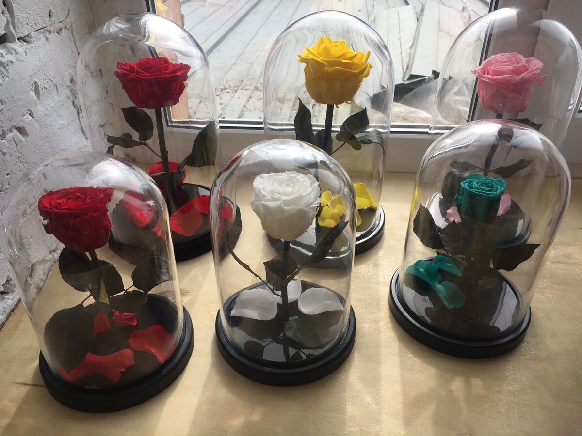 Фото из личного архива. Я оптом закупала товар в Москве.