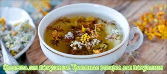 Средства для похудения. Травяные отвары для похудения.