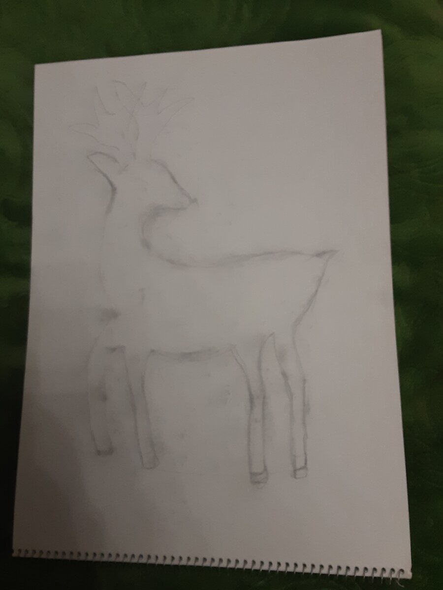 Нарисовали оленя.