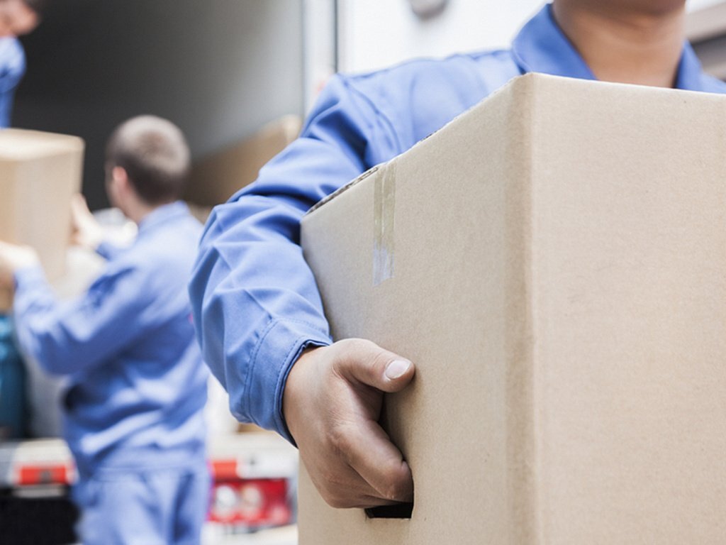 С просторов Сети