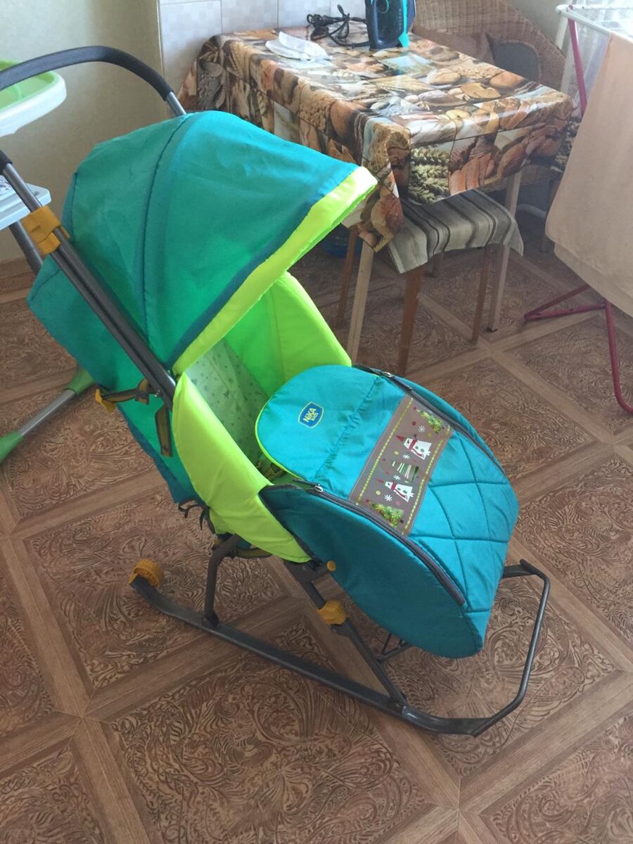 Первые купленные сани