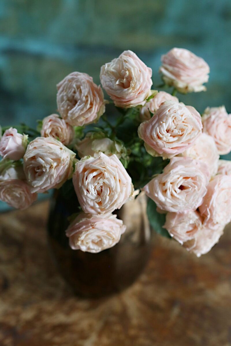 Кустовая пионовидная роза Бомбастик