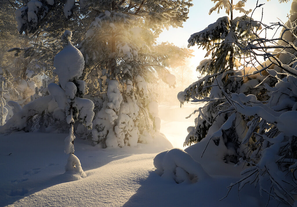 Ожидается переменная облачность, возможен снег