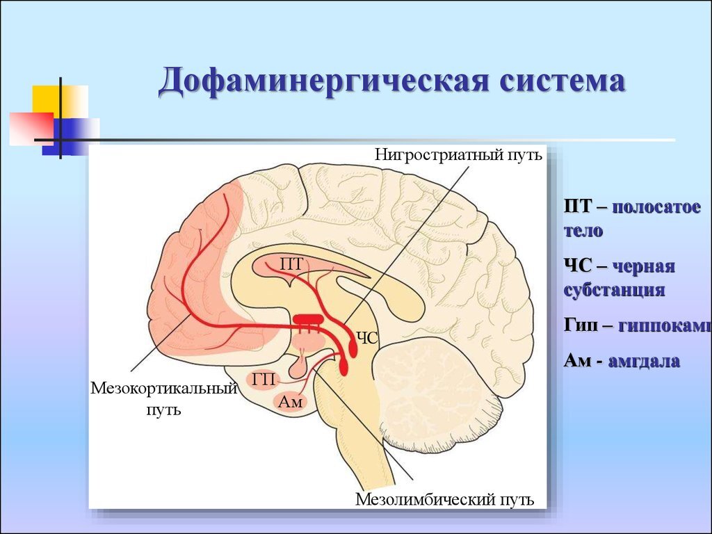 Картинка из сети для представления. Рис.1