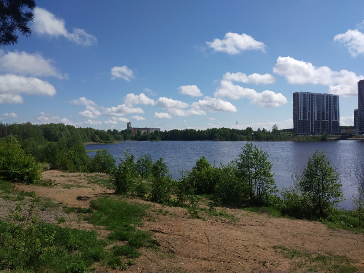 Как оказалось, не все места отдыха на севере города я знаю. Рассказываю,  как открывал для себя север района Коломяги | Вокруг Да около | Дзен