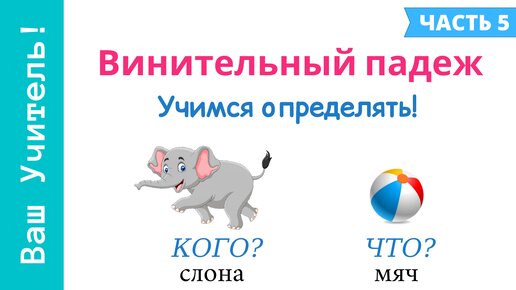 Винительный падеж. Как определить винительный падеж?