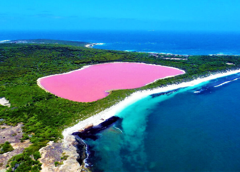 Почему розовые озера имеют такой цвет?