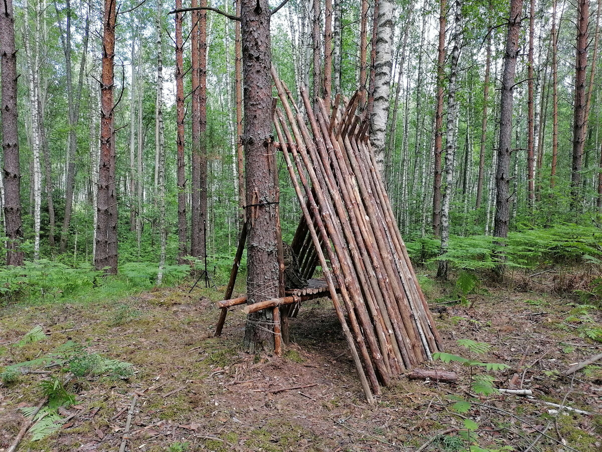 Временное жилище в лесу