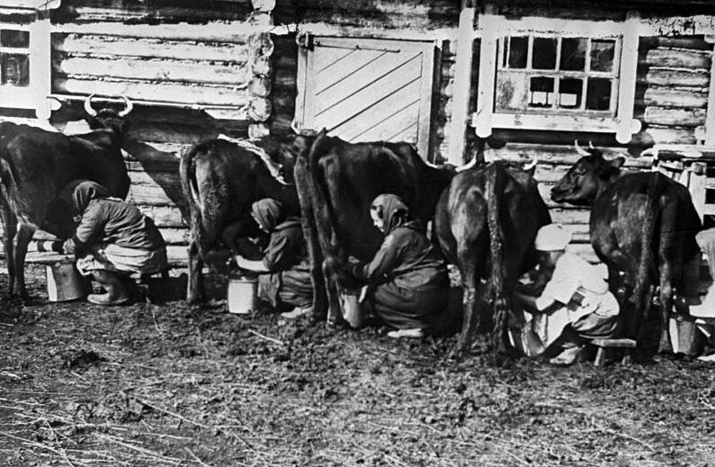 В деревнях испокон веков было принято сидеть вот так... Фото https://visualrian.ru.