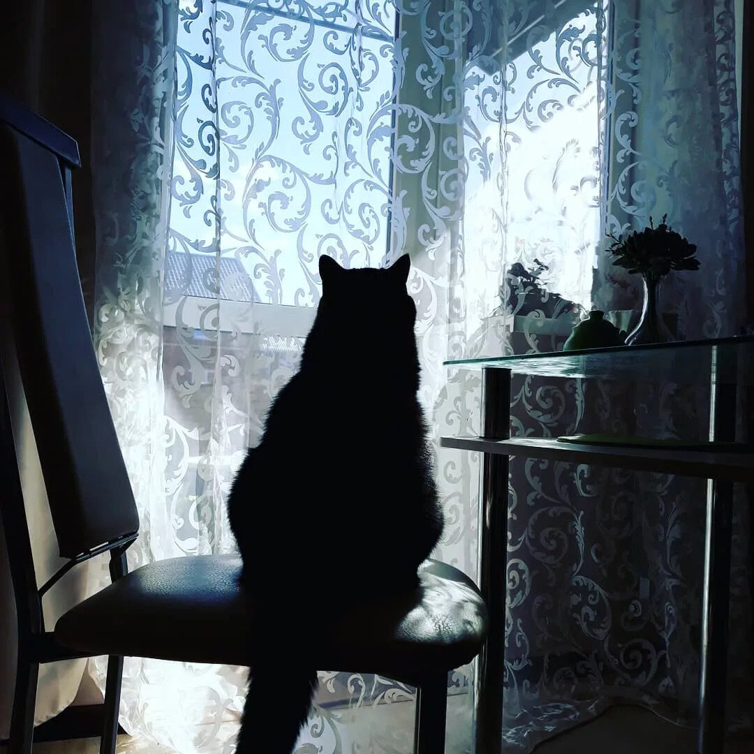 Пора уже сбросить с себя тяжёлые оковы долгой зимне-весенней спячки. Тюль поможет!