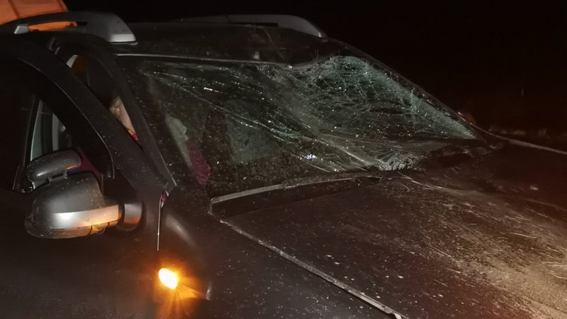 Машина рено сценик, сбившая лося выглядела примерно так. Только левая сторона ещё была в трещинах и разбиты крышки фар. Фото из сети.