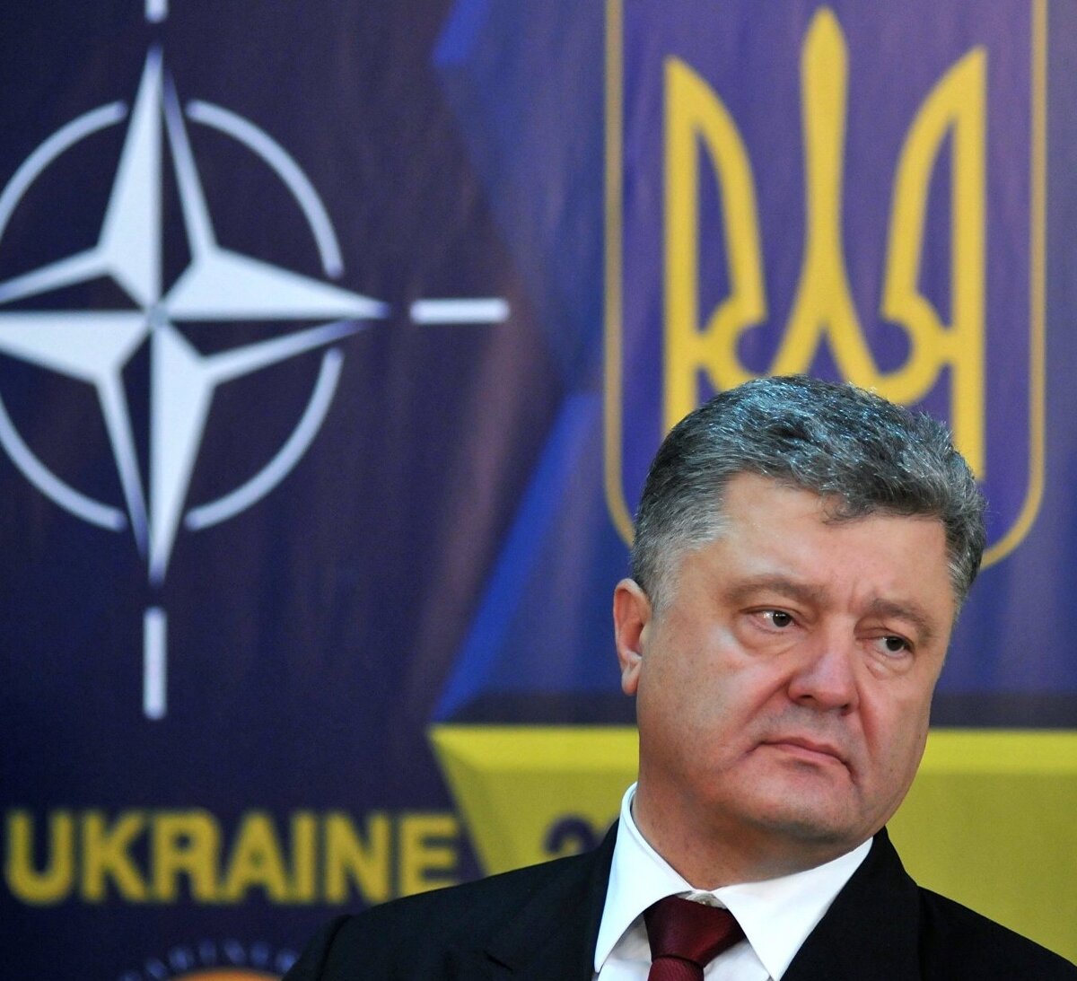Президент Украины господин Порошенко до объявления результатов  расследования немедленно назначил Россию ответственной  "за этот теракт".