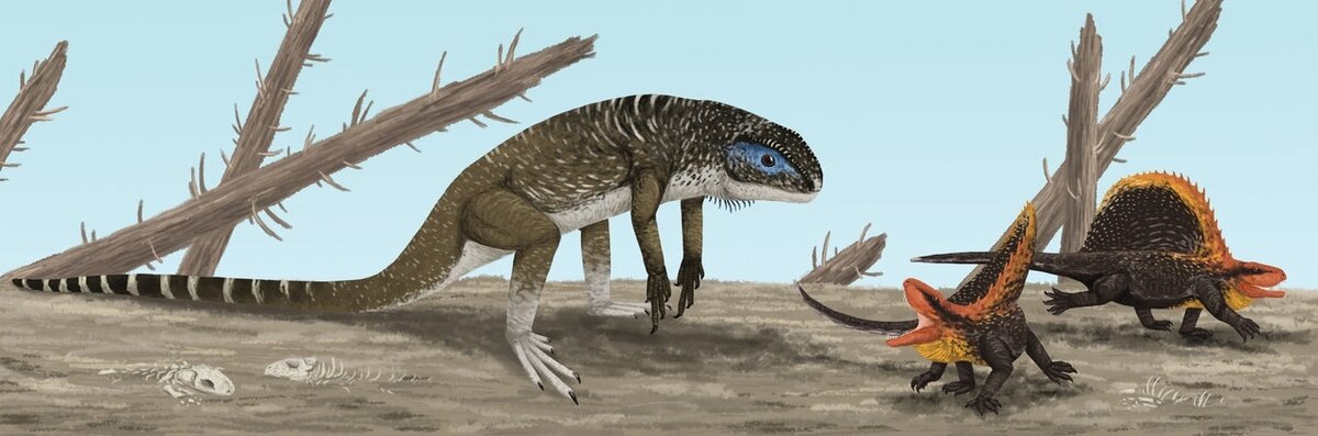 Парочка Dimetrodon teutonis в ужасе удирает от пугающего создания природы - животного, которое может ходить на двух ногах (представителя рода Eudibamus). Иллюстрация TrollMan/devianART.