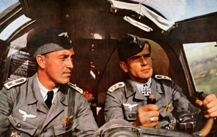 Фото Яндекс Картинки.