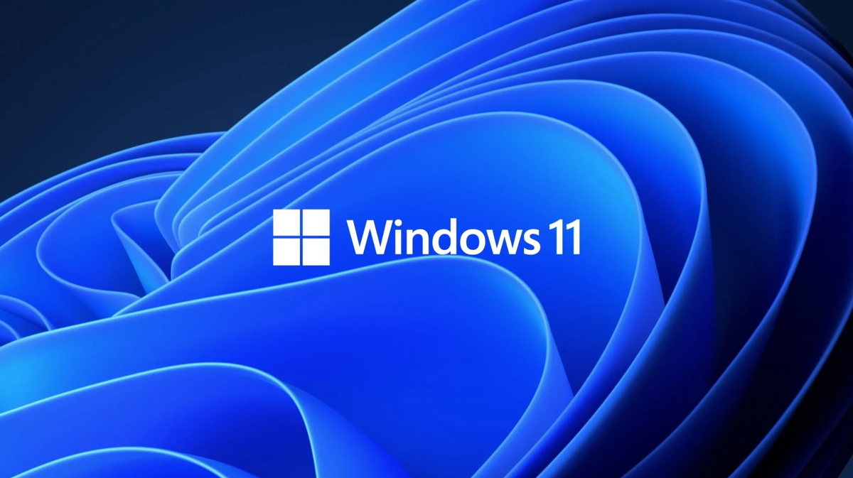 обои с логотипом Windows 11